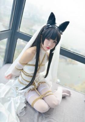 日韩美女乱媓试看视频大_HD电影在线看